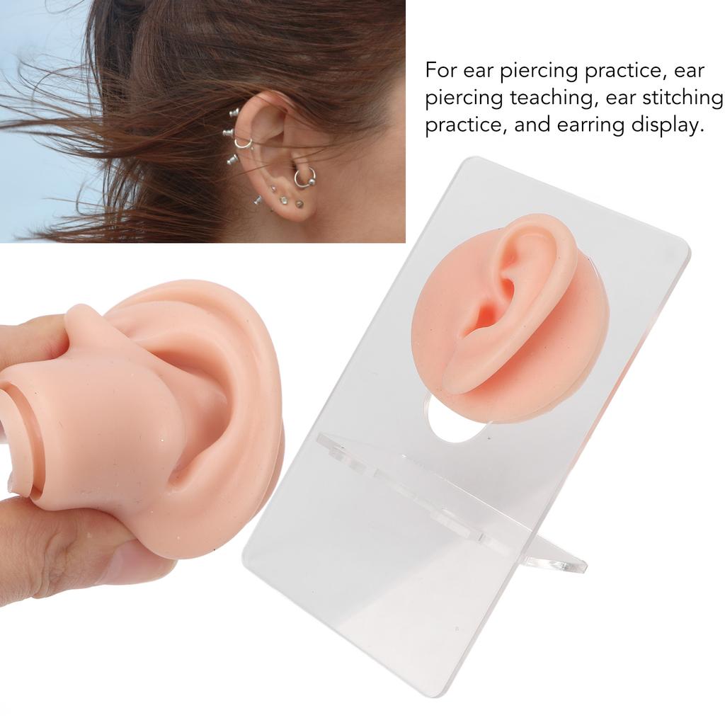 3 Pair Soft Silicone Ear Model Acrylic Bracket Human Ear Model for Piercing Practice Earring Display