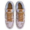 Nike SB Dunk Low Premium City Of Style Skateboard Shoes FN5880-001