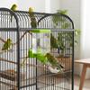 Bird Automatic Waterer Parrot Cage Accessory Drinking Dispenser with Leak Proof Design for Small and Medium Birds