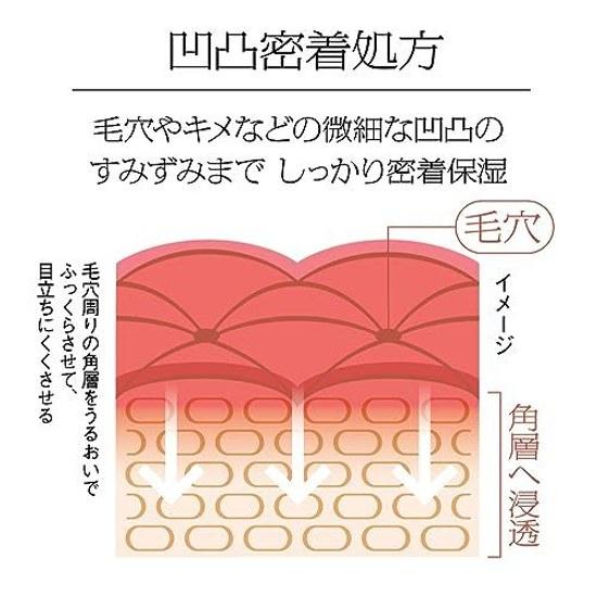 Sofina iP Harin Danyoku Chunyuu Biyoueki Refill