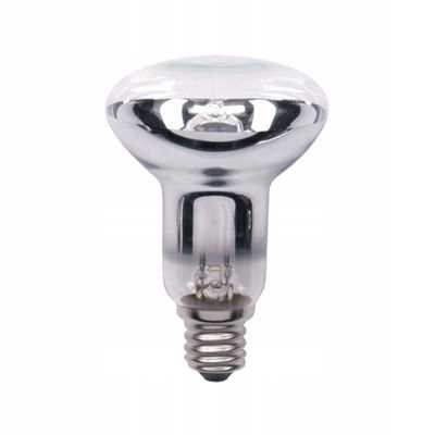 Żarówka R63 E27 230V 60W Clear Thorgeon 05130
