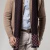 New Luxury Brand Business Mens Scarf Cashmere Scarfs Shawl High Quality Winter Warm Scarves Men