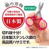 Sekisei Decopin Glasses-Shaped Portable Folding Scissors Keychain Light Green DP-8330-33, Compact Travel Scissors Made in Japan