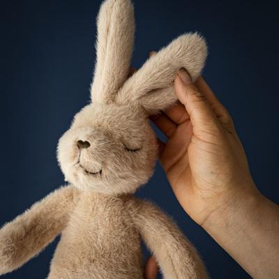 Peluche lapin mignon bonne nuit poupée lapin mignon oreiller de jeté pour dormir cadeau d'anniversaire pour petit ami et petite amie