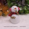 Santa Claus and Snowman Figurines with Christmas Ornaments, Brown Bear Gift Bag & Micro Landscape Pendant