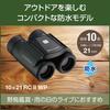DGR 10×21RCWP