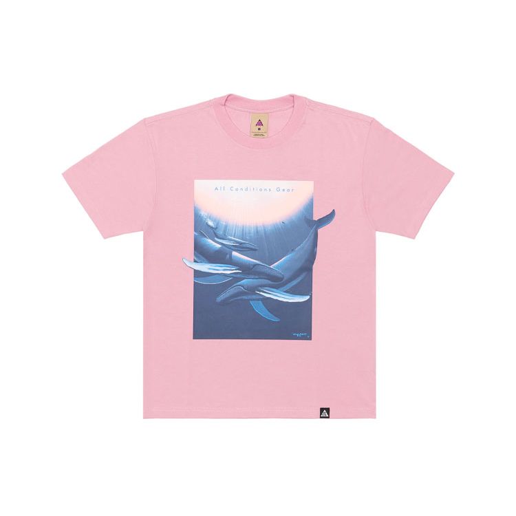 Nike Men s ACG Wyland Loose Short Sleeve T-Shirt Elemental Pink DC5359-698 L
