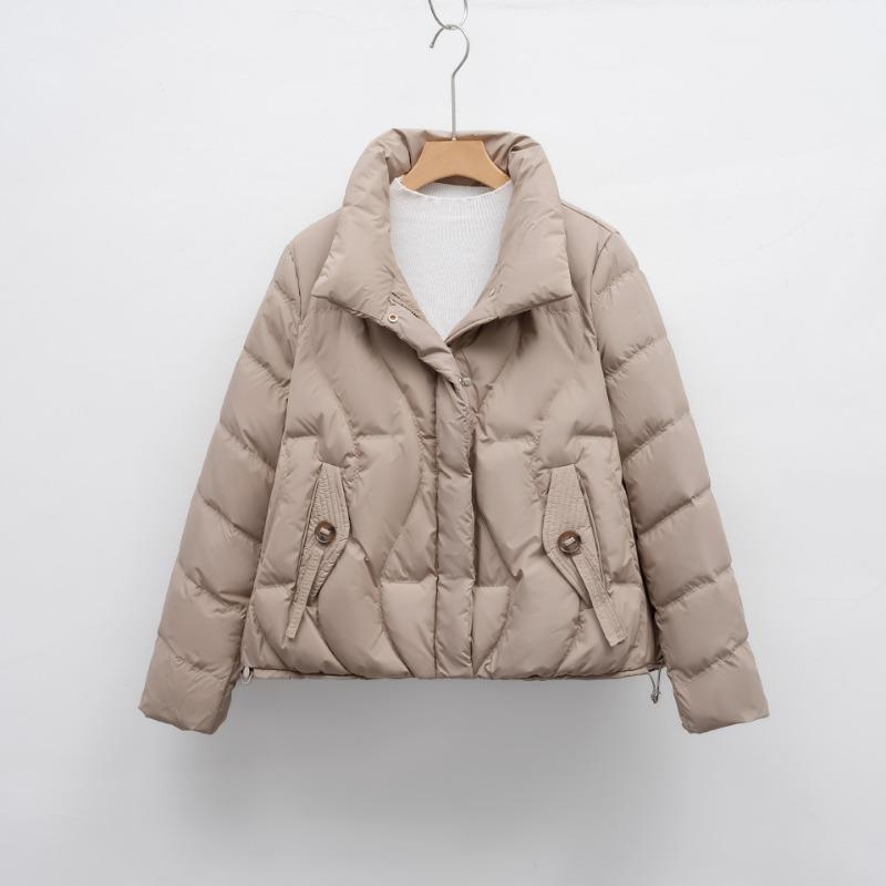 Winter Warm New Down Jacket Women's Stand-up Collar Slim Temperament Small Simple Solid Color Coat Tide