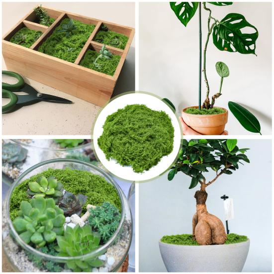 100/150/200/500/1000G Artificial Green Moss DIY Crafts Fairy Gardens Table Centerpieces Fish Tank Microlandscape Decorative Fake Moss