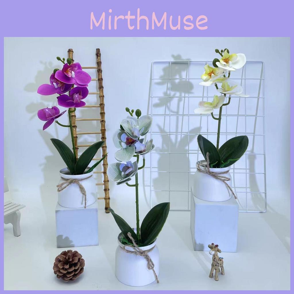 Phalaenopsis Kunstblumentopf für Außengartendekoration und Foto-Requisiten