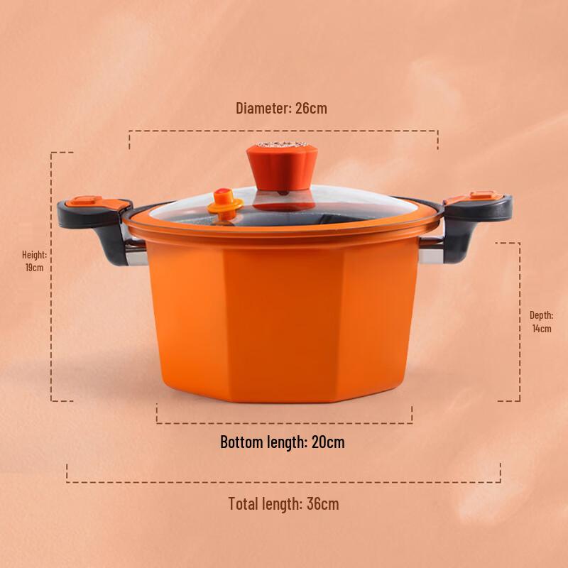 AISHIQI Double Handle Vacuum Iron Stew Pot