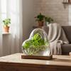 Nordic Style Glass Vase Heart Shape Design for Hydroponic Plants Desktop Decoration