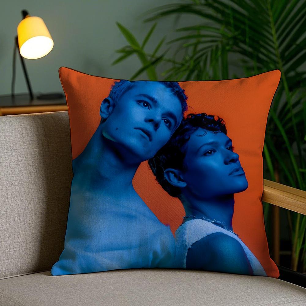 Young RRoyalsS TV SERISE Pillow Case Silky Elegant Comfort Sofa Bed Invisible Zipper