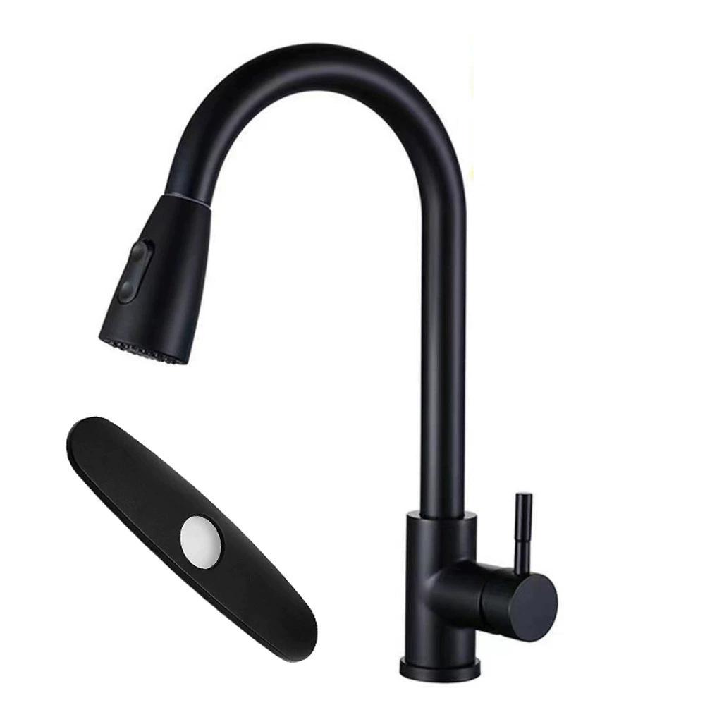 Rotatable Kitchen Faucet: Hot/Cold, 304 Stainless Steel, Pull-Out Retractable