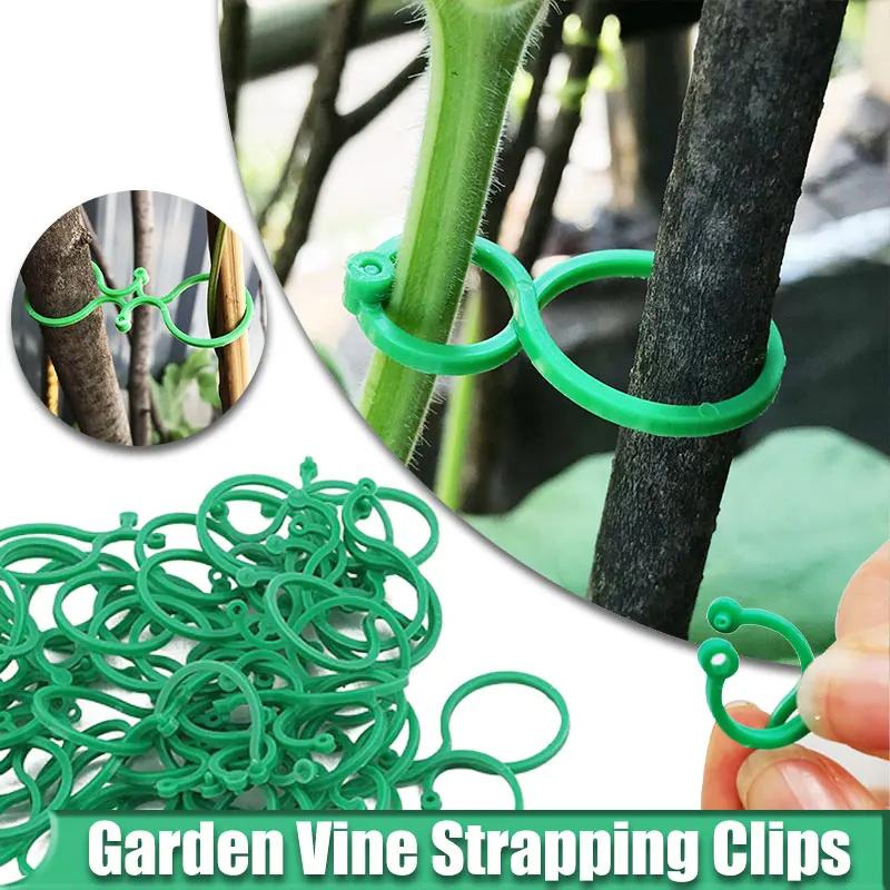 10-50PCS Garden Vine Strapping Clips Plant Bundled Buckle Ring Holder Tomato Plant Stand Support Tool Garden Tomato Grapevine Ties