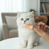 3pcs/set Bite Resistant Pet Finger Puppet Soft Cat Finger Fidget Creative Cat Teasing Toy  Cat Props