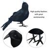 1 Set Feathered Crow Statue Handmade Realistic Looking Foam Fake Crow Ornament Indoor Outdoor Party Decoration