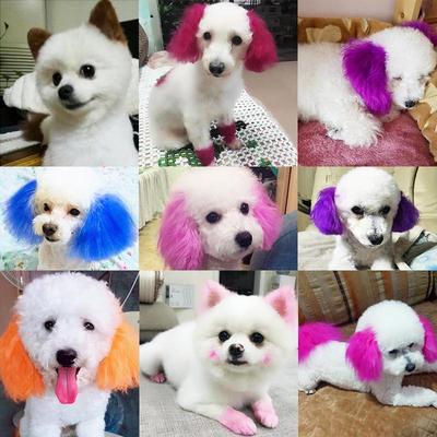 Bichon & Pomeranian White Hair Dye for Pets - Safe and Specialized Formula for Dogs