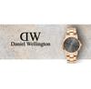 Часы Daniel Wellington Iconic Link Dw00100334