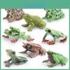 Nature Animal Pvc Model With Realistic Frog Figures For Educational Kids Collectibles