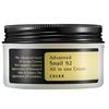 Advanced Snail 92 All In One Cream 100 Ml