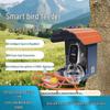 Solar-Powered Smart Hummingbird Feeder Camera with Remote Control