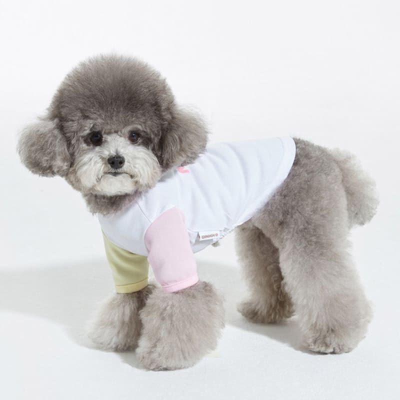 MIMINKO Functional Color Block Logo T-Shirt [DW3MT1210]