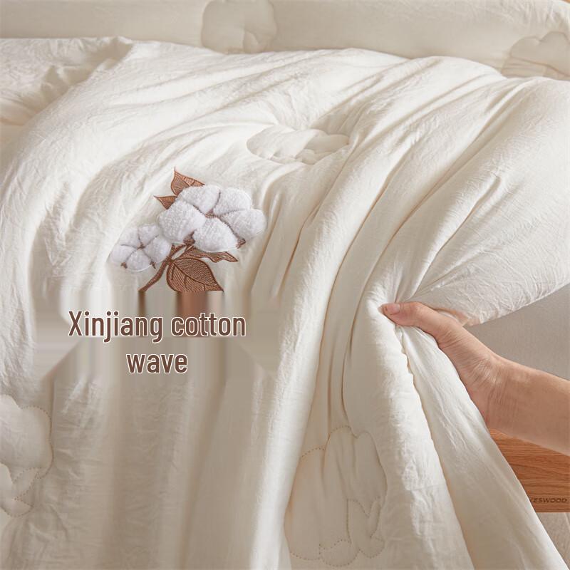 Hongdou Class A Antibacterial Xinjiang Cotton Quilt