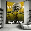Haaland Wall Hanging Printed Fabric Blanket Decorative Tapestries for Bedroom Living Room Home Decor