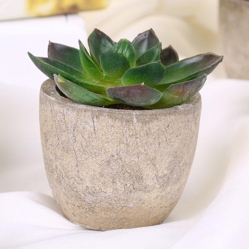 

1/3/6 шт. Искусственные суккуленты Пластиковые Мини Искусственные Бонсай Поддельные Имитационные Декоративные Растения-Шары для Офиса Домашнего Декора