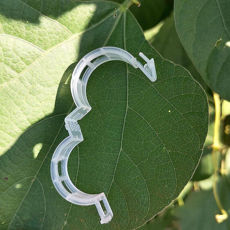 Greenhouse Vine Clip for Plant Support: Secure Your Vegetables, Fruits, and Vines with Ease