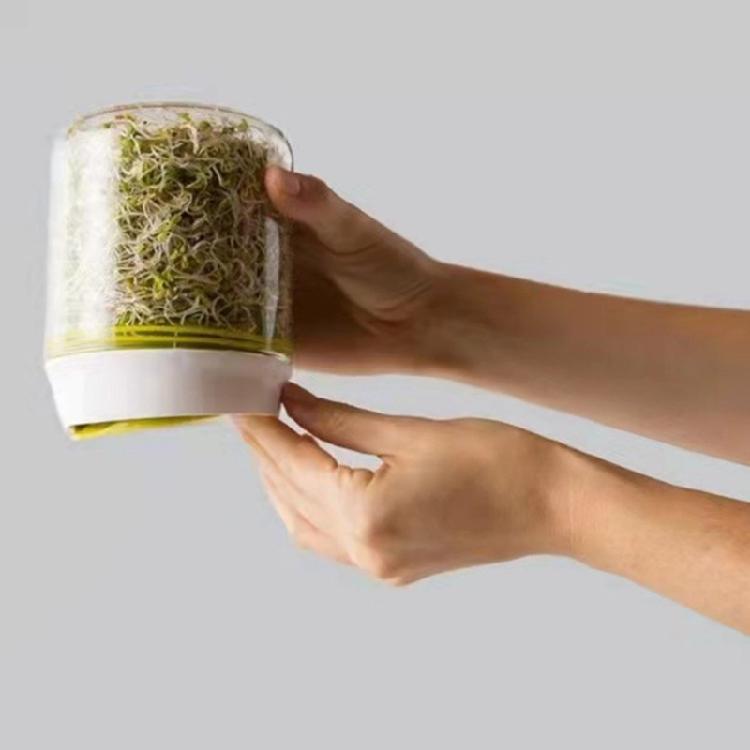 Vassoio per Coltivazione Piante da Cucina Vaso Germinazione Interno Germogliatore Efficiente per Crescita Rapida e Facile Osservazione