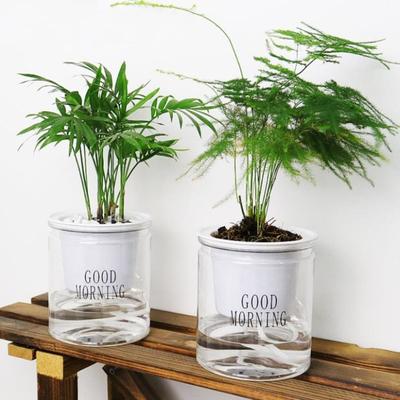 Round Automatic Water Absorption Self-Watering Flowerpot Hydroponic Flower Pot