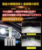 WENLE New LED Beyond HID D8S LED Headlight Bulb, Compatible with New Car Inspections,