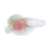 AQUA Plush Dolphin [Irutan] SS Rainbow Marine (Fabric pattern random Cannot be specified)