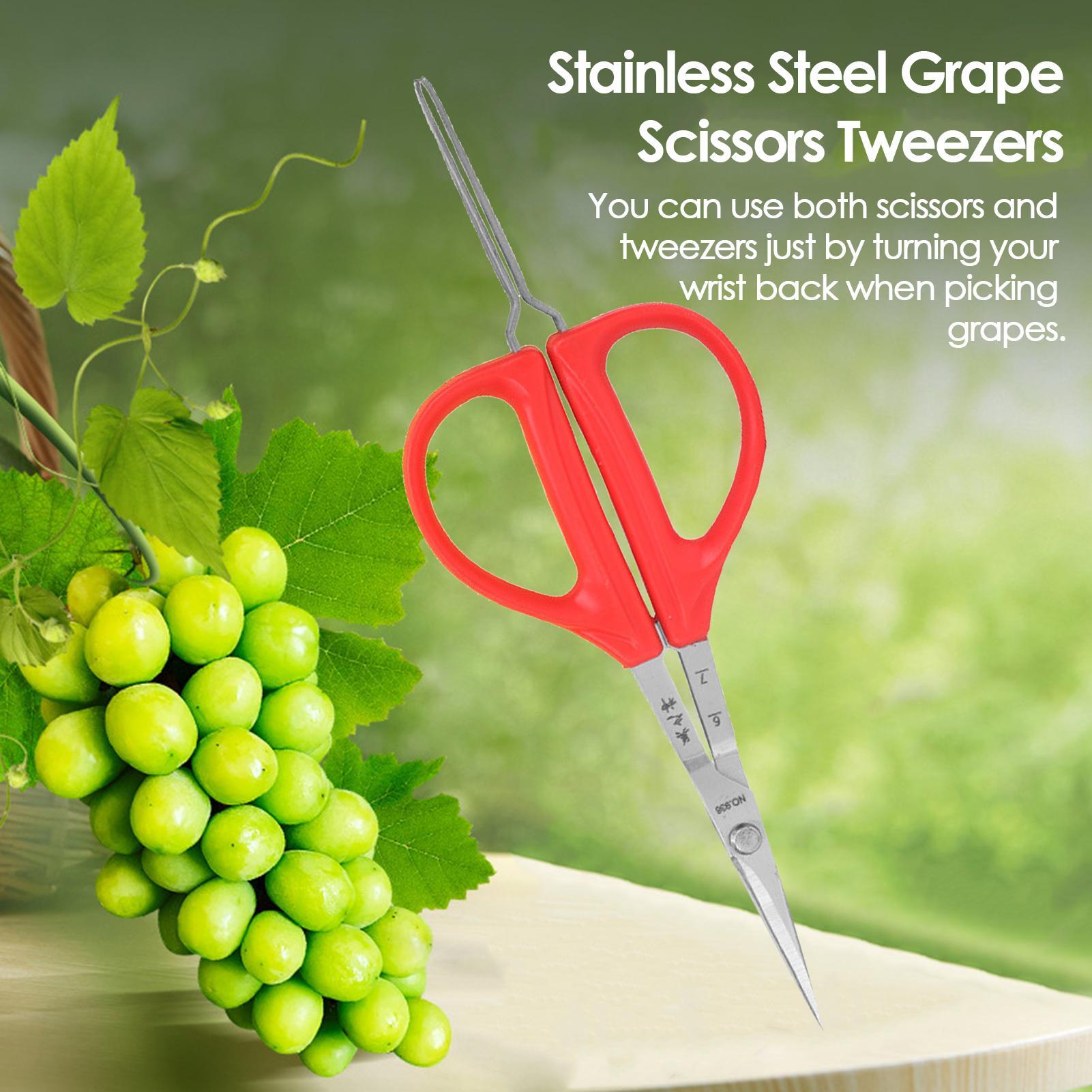 Stainless Grape Scissors 2-in-1 Scissors Tweezers For Grape Sturdy Picker Scissors And Tweezers For Garden Fruits And Grapes rosso