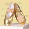 1 Pair of Gold Silver Girls' Ballet Shoes Satin Princess Shoes Indoor Cat Claw Shoes  Pilate