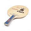 Table Tennis Blade Physical Education Anatomic Bat