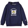 Mizuno Kids Sweatshirts Hooded Moderate WY2176