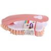 2 in 1 Cleaning Brush Multifunctional Handheld Removable Scrubbing Brush Gaps Brush Scrubber Shoe Brush