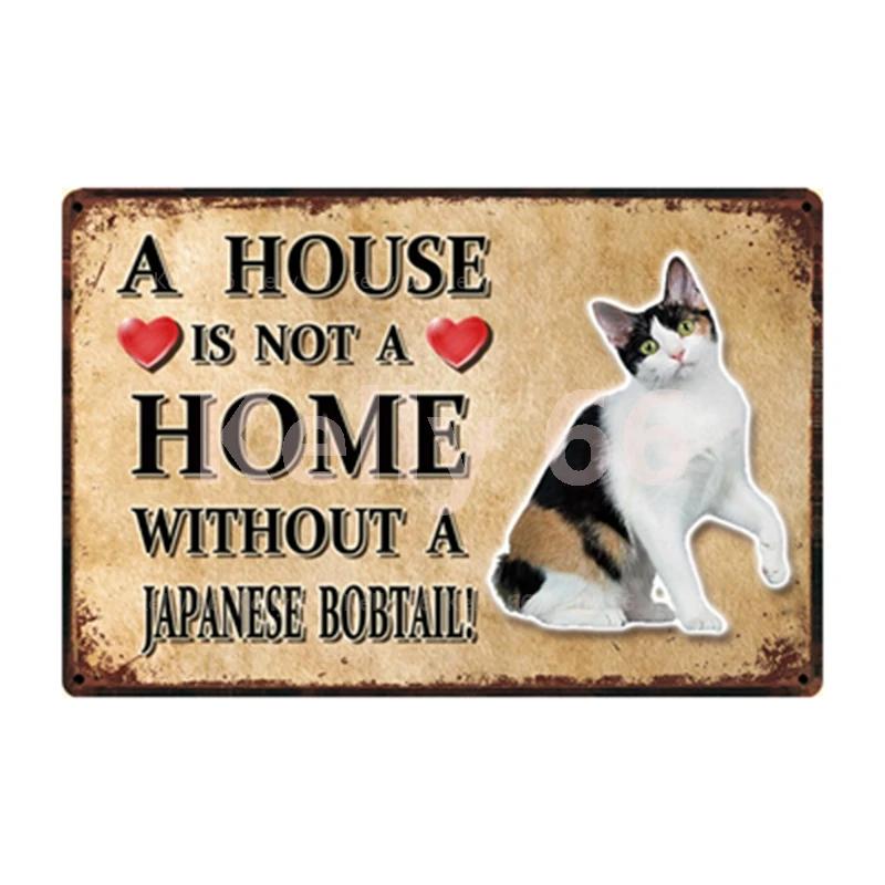 [ Kelly66 ] Pets Cat Bombay Siamese Burmese Birman Abyssinian Metal Sign Home Decor Bar Wall Art Painting 20*30 CM Size Dy147