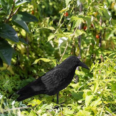 Aménagement du jardin – Décorations de jardin