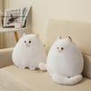 Vit Persisk Katt Gosedjur 28cm Söt Helande Gosedjurskudde för Barn & Vuxna, Mjuk PP Bomullsfyllning