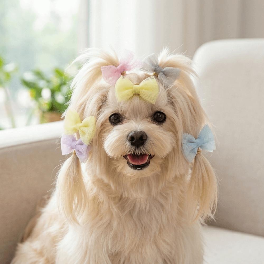36PCS Sheer Fabric Pet Hair Bow Handmade Pet Hair Clip Sheer Bow Knot Daily Dressing