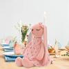Kawaii Rabbit Plush Toy Stuffed Animal Toy Rabbit Plush Toy Rabbit Doll Long Ears Cute Plush Toy