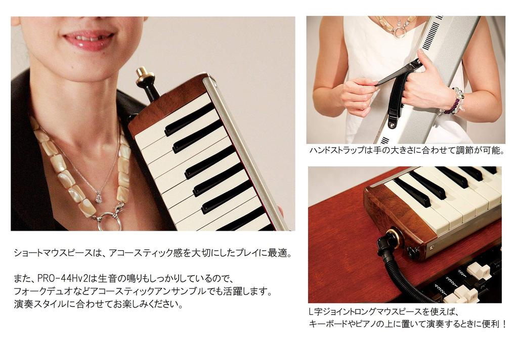 HAMMOND HAMMOND44 PRO-44Hv2 Key Harmonica, Acoustic-Electric Model