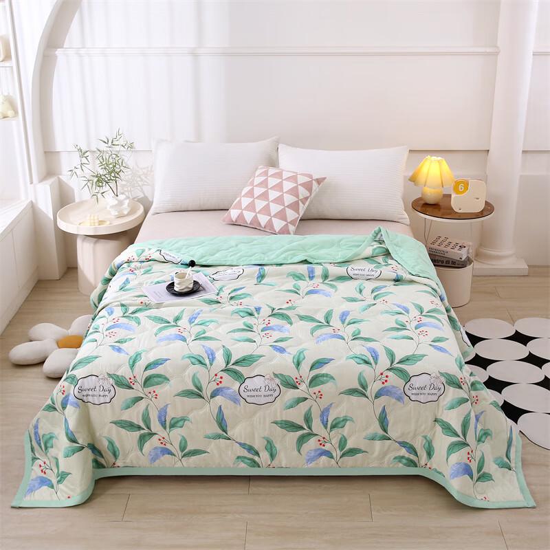 Ailan Huijia WQ Summer Quilt Gift Set 180cm*200cm