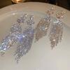 Exaggerated Tassel Earrings: Fashionable  Elegant  Long High-end  and Luxuriously Chic