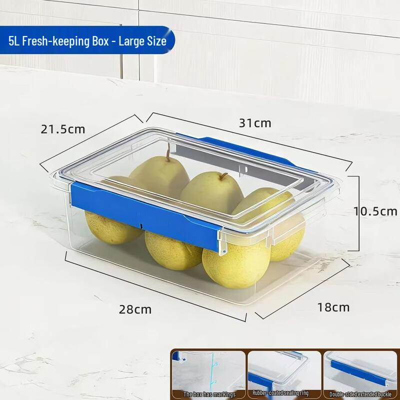 

Glamorous 5L Kitchen Refrigerator Food Storage Container