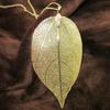 LOVBEAFAS Unique Natural Real Leaf Necklace for Women Filigree Long Statement Vintage Necklace Collier Femme Necklace Jewelry